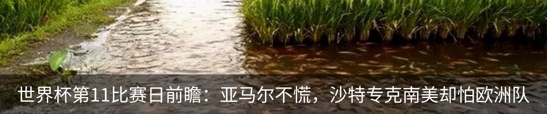 行业资讯