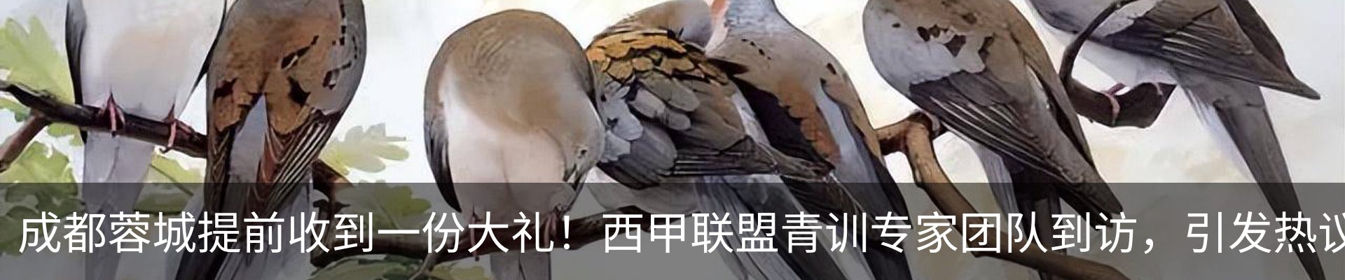 行业资讯