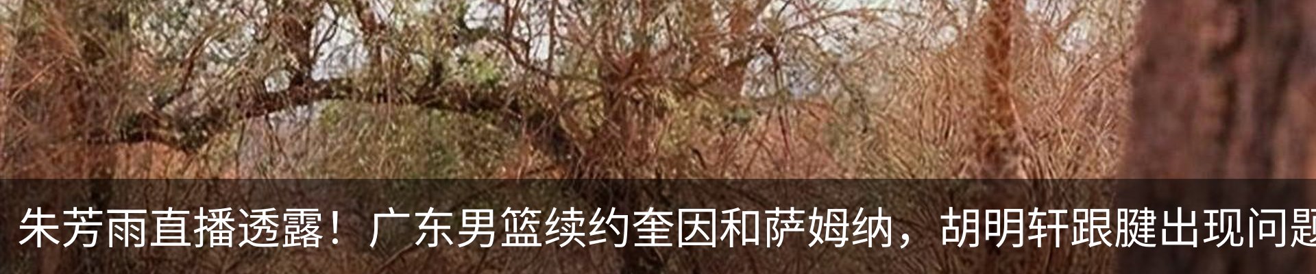 行业资讯
