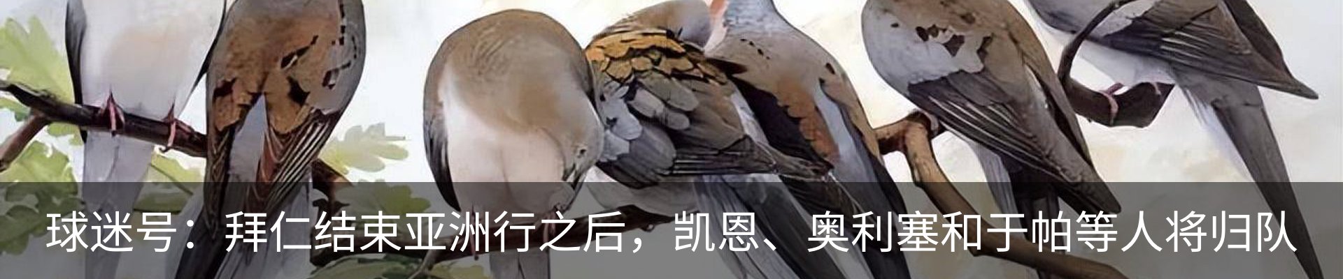 行业资讯