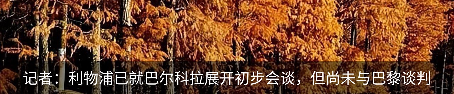 行业资讯