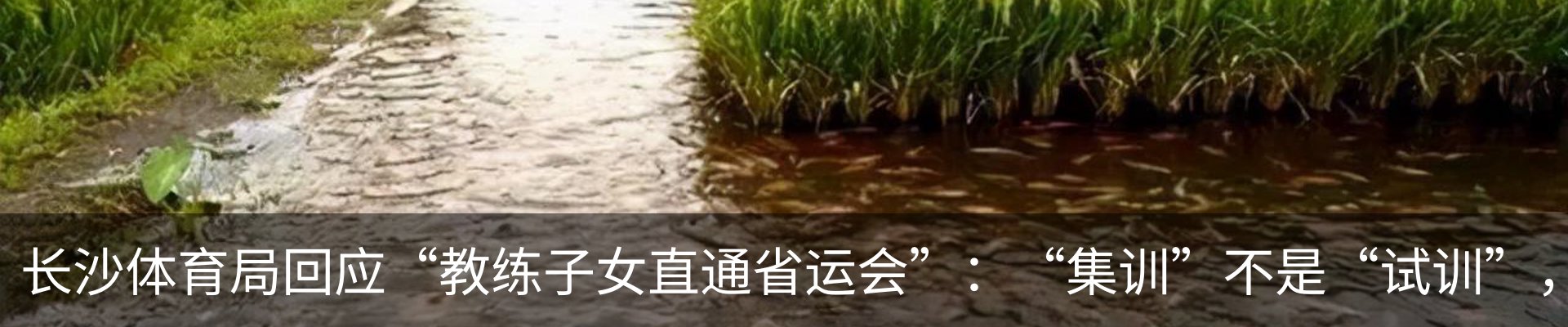 行业资讯