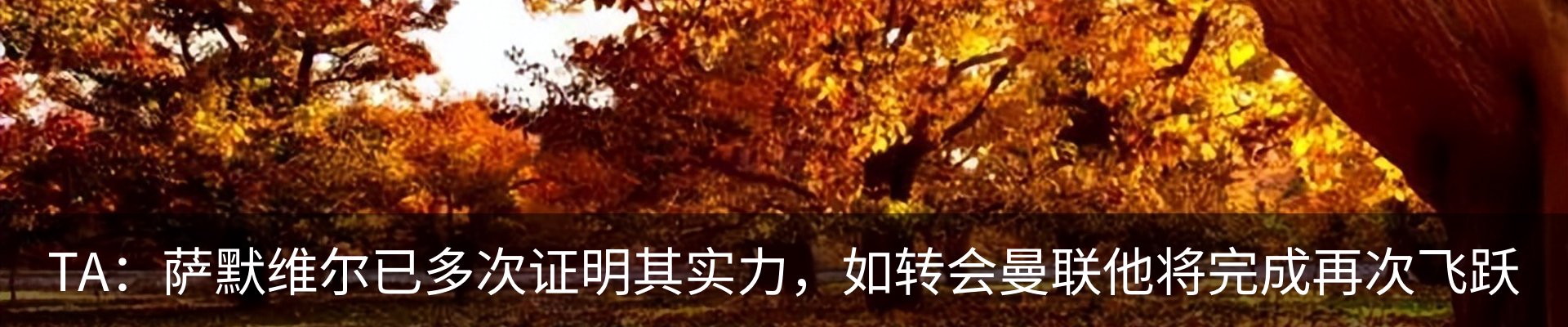 行业资讯